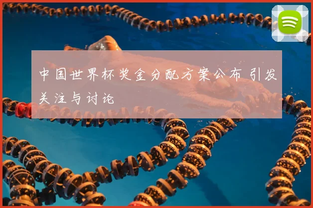 中国世界杯奖金分配方案公布 引发关注与讨论