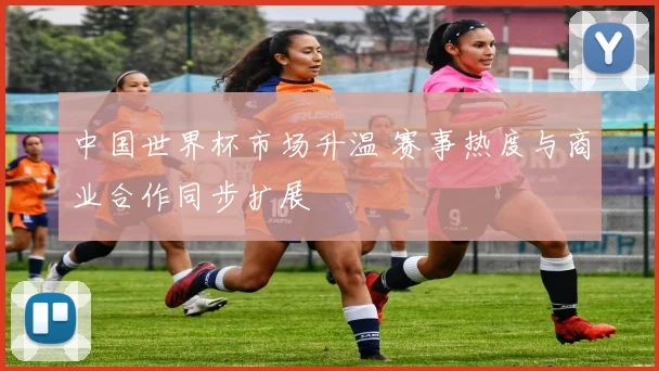 中国世界杯市场升温 赛事热度与商业合作同步扩展