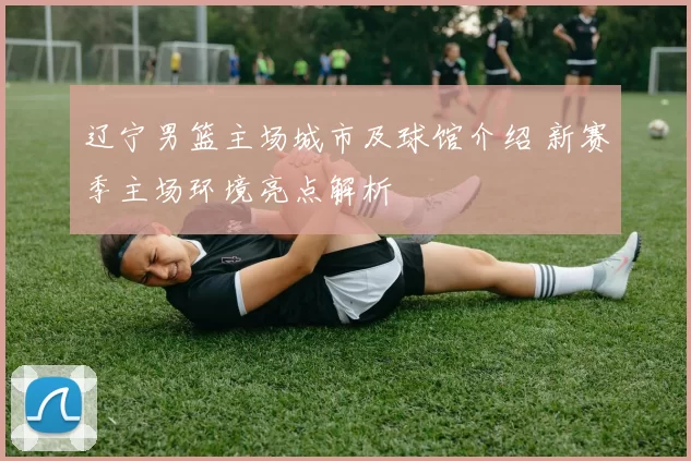 辽宁男篮主场城市及球馆介绍 新赛季主场环境亮点解析